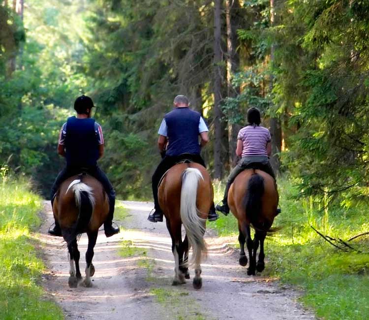 ruta-paseo-caballo-reuidera ruta-paseo-caballo-reuidera